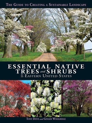 Essential Native Trees and Shrubs for the Eastern United States - ebook